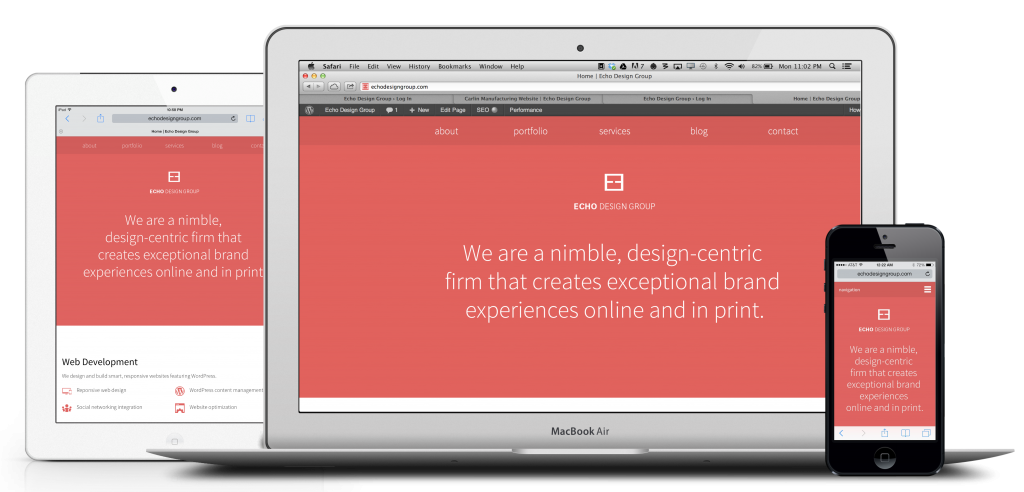 Responsive Web Design for Echo Website