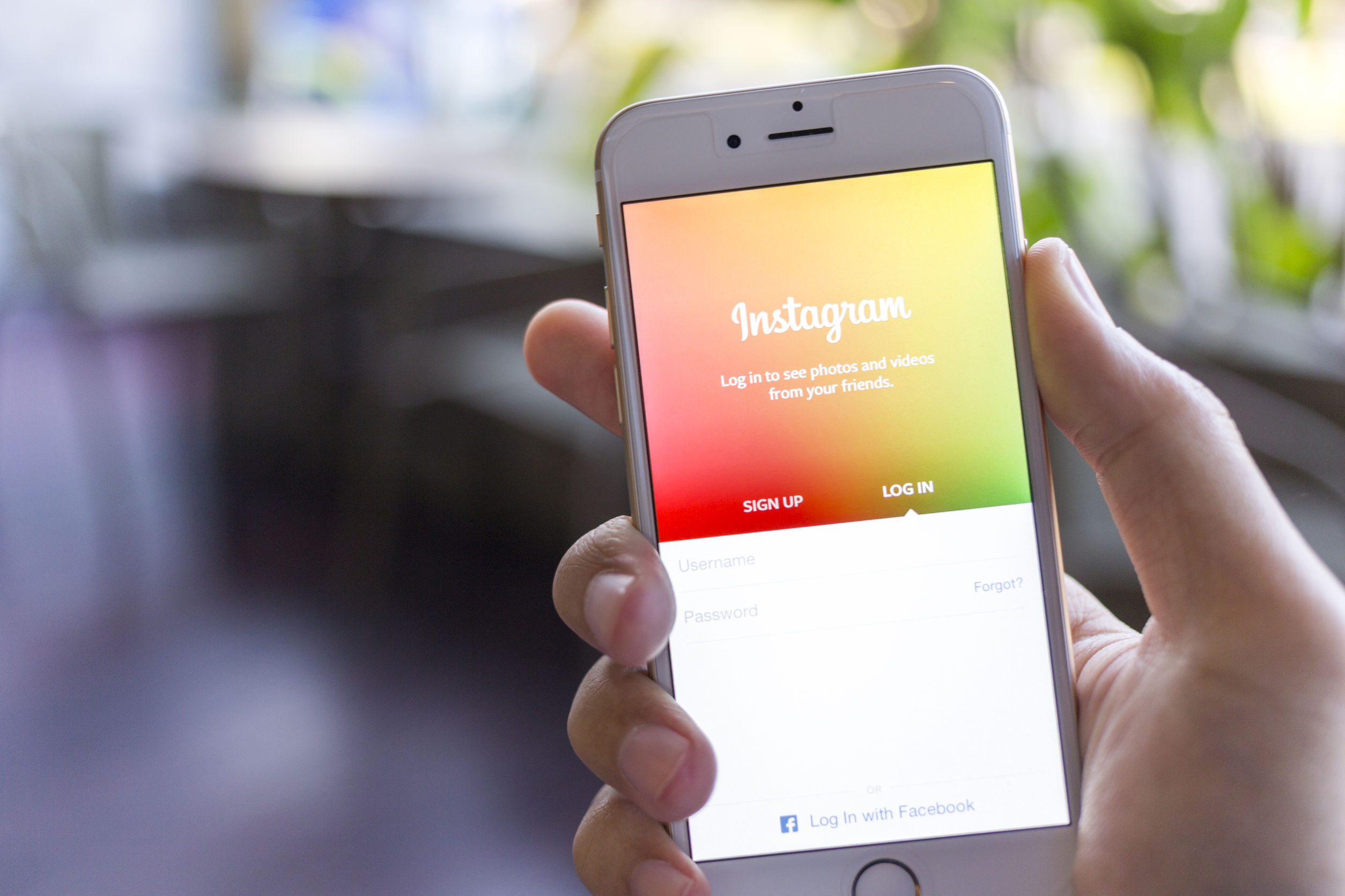 How to leverage the power of Instagram for your business