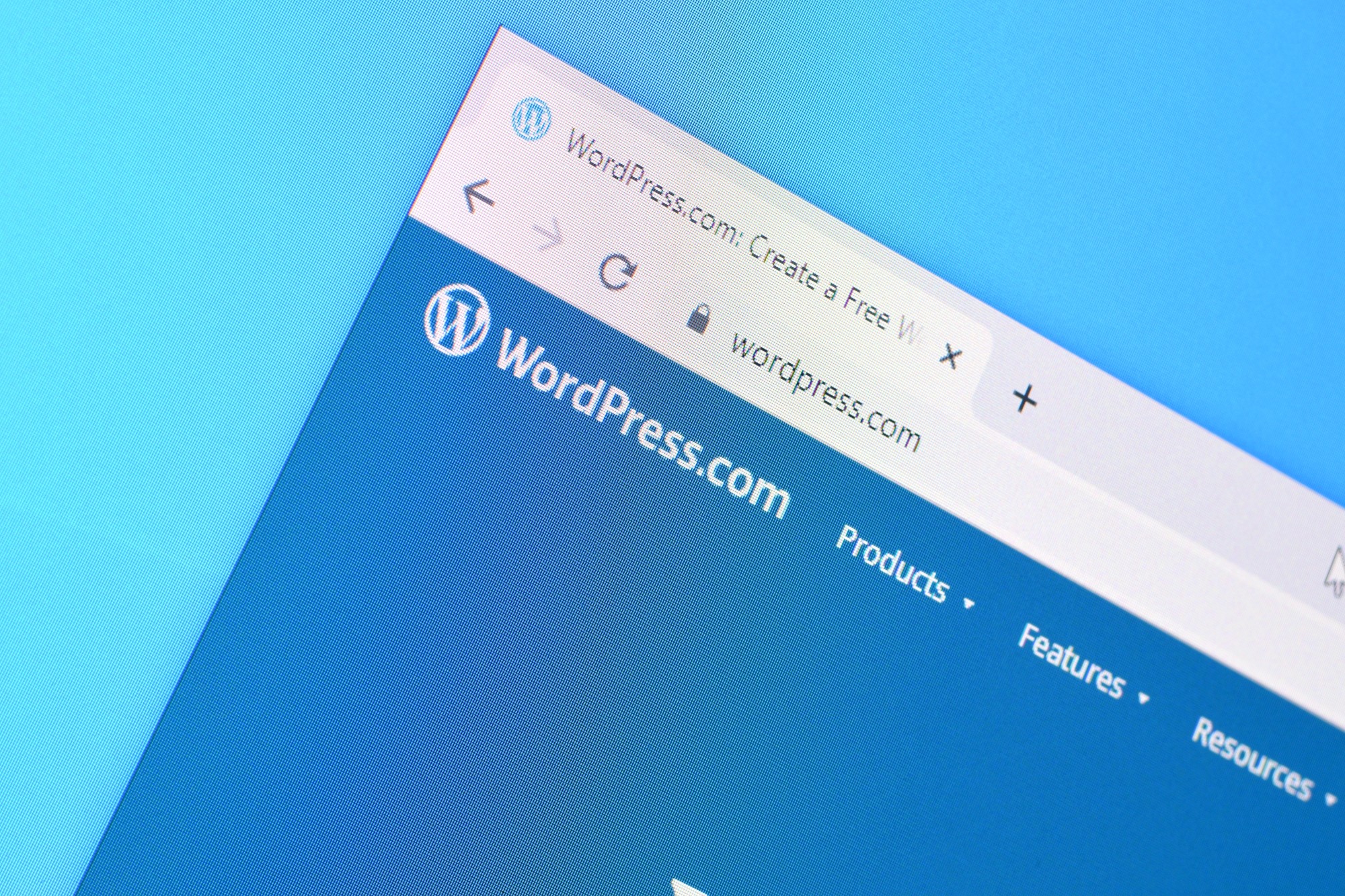 Five reasons why you shouldn’t buy a WordPress theme for your website