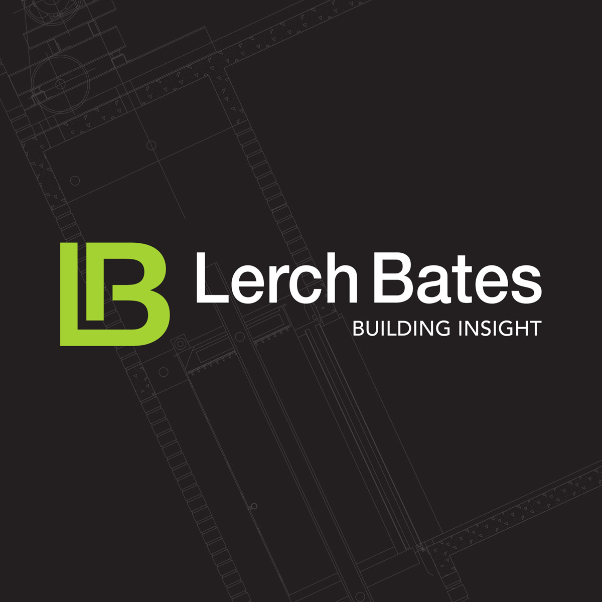 Lerch Bates Logo & Branding